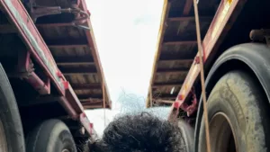 Wie man die beste Reifengröße für 18x7.5-Felgen auswählt