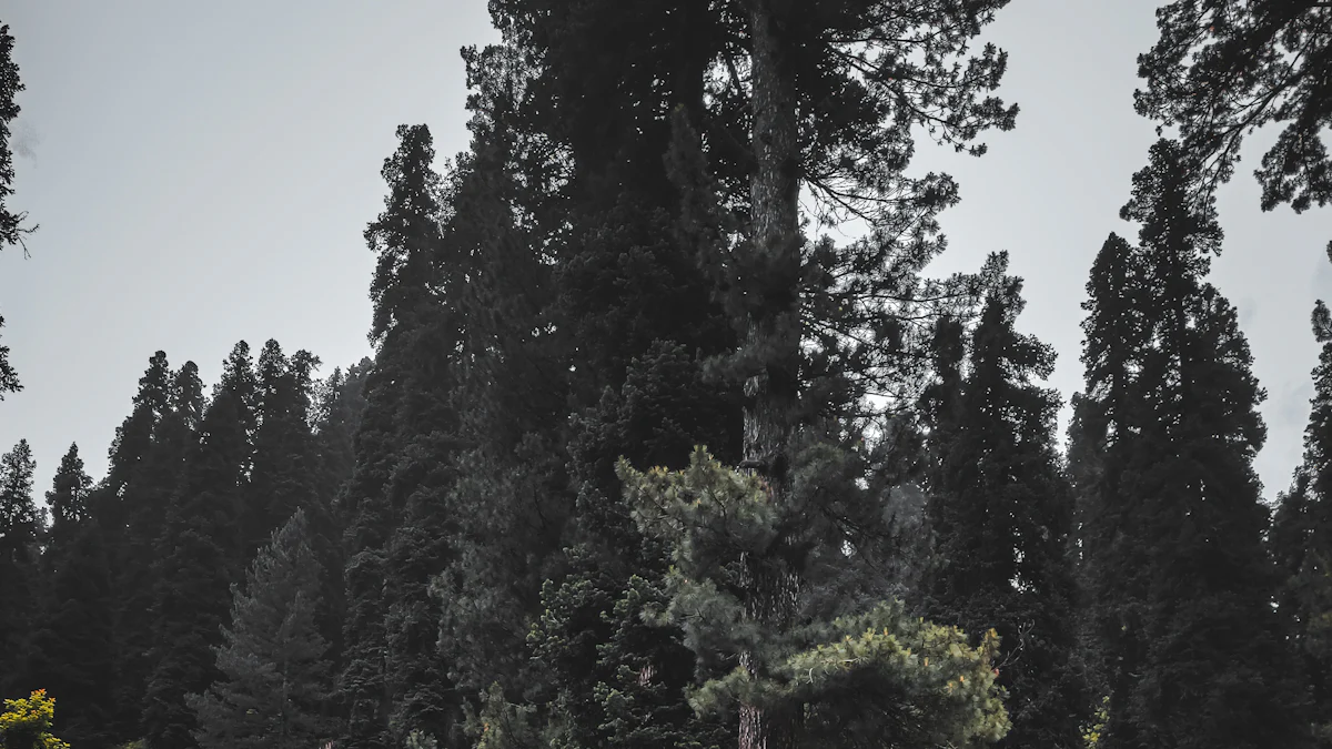 Tire Pairing for 16x8 Wheels