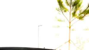 Top 3 Deals on Custom Golf Cart Rims