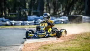 Surprising Discounts on Chrome Go Kart Wheels